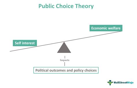  Public Choice Theory  - A Symphony of Individual Decisions and Societal Outcomes